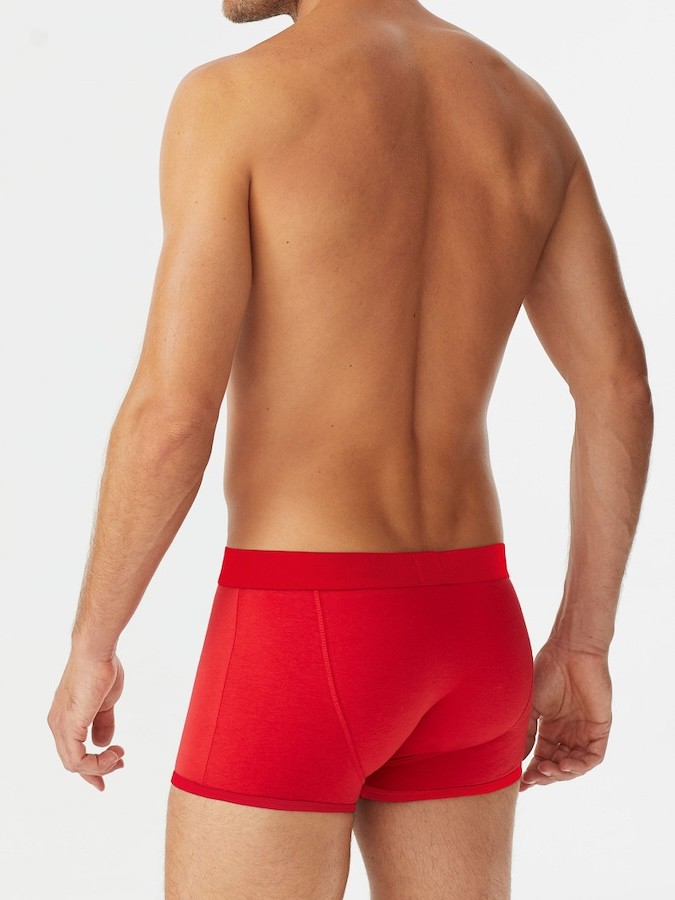 PROMISE ΑΝΔΡΙΚΟ BOXER CHRISTMAS COLLECTION - Image 2
